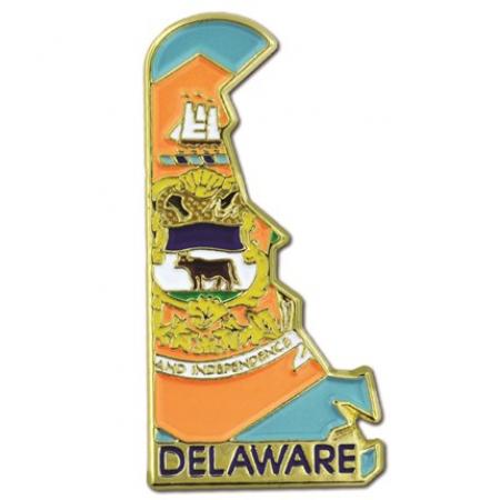 Delaware Pin