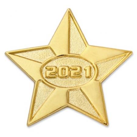 2021 Gold Star Pin 