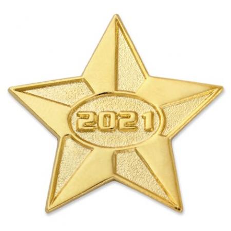 2021 Gold Star Pin