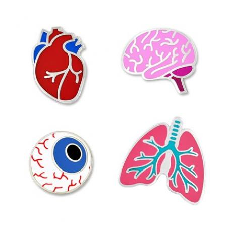 Human Organs 4-Pin Set 