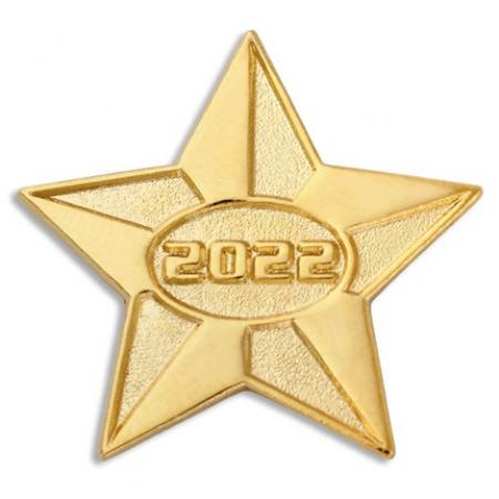 2022 Gold Star Pin 