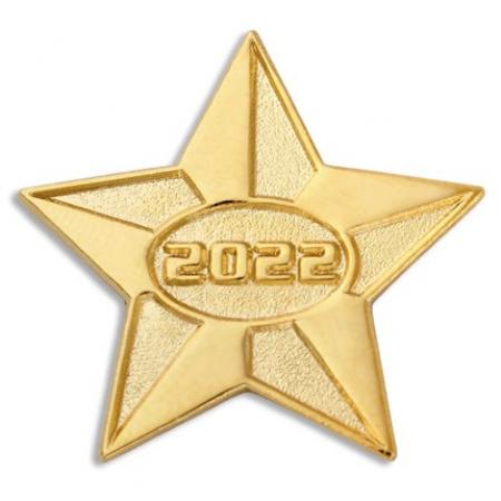 2022 Gold Star Pin