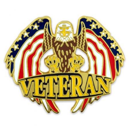 Veteran Eagle Pin
