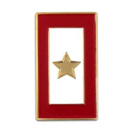 Gold Star Service Flag Pin