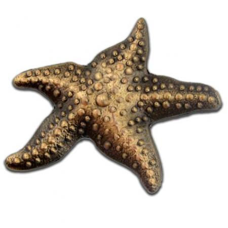 Starfish 3-D Lapel Pin