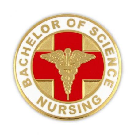 Bachelor of Science Nursing Pin