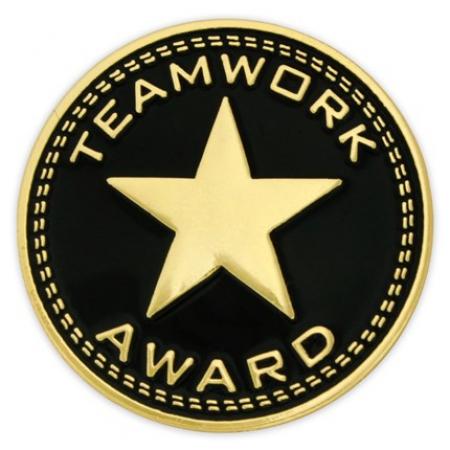 Teamwork Award Pin
