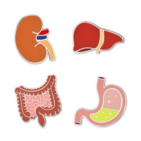 Human Internal Organs 4-Pin Set 