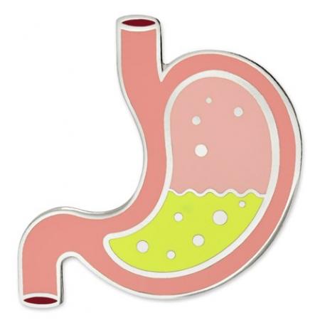Human Stomach Pin