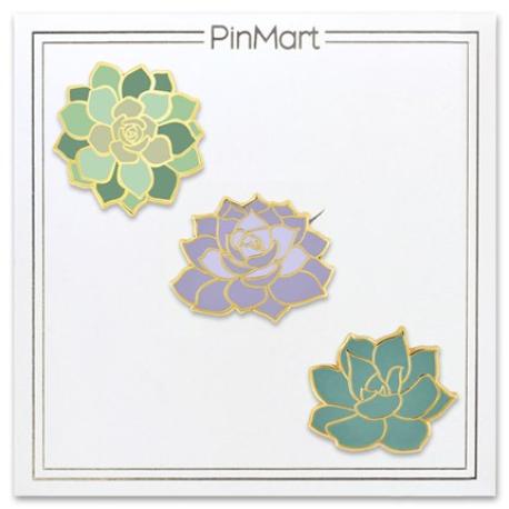     Succulent 3-Pin Set