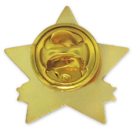     Years of Service Star Pin - 6 Years