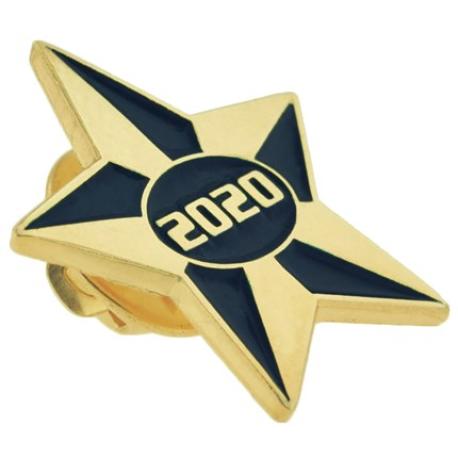     2020 Blue and Gold Star Pin