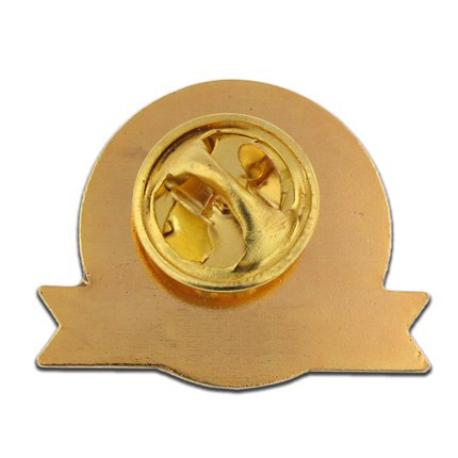 Salute to Veterans Pin